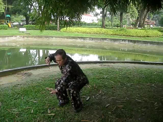 Shaolin 72 Chin-Na Techniques 2015